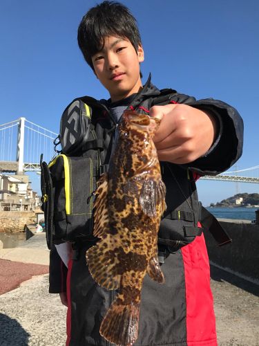 タケノコメバルの釣果