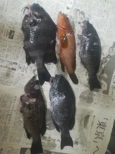 釣果