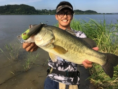 ブラックバスの釣果