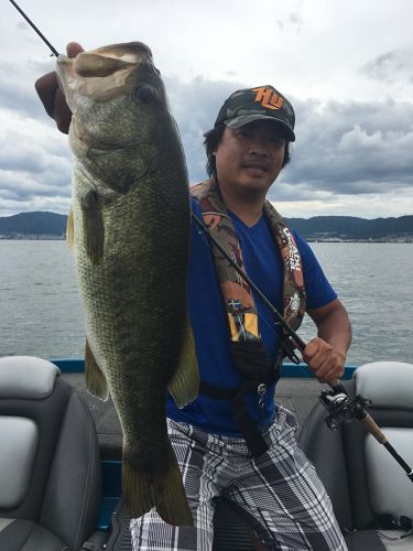 ブラックバスの釣果