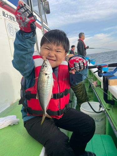 マアジの釣果
