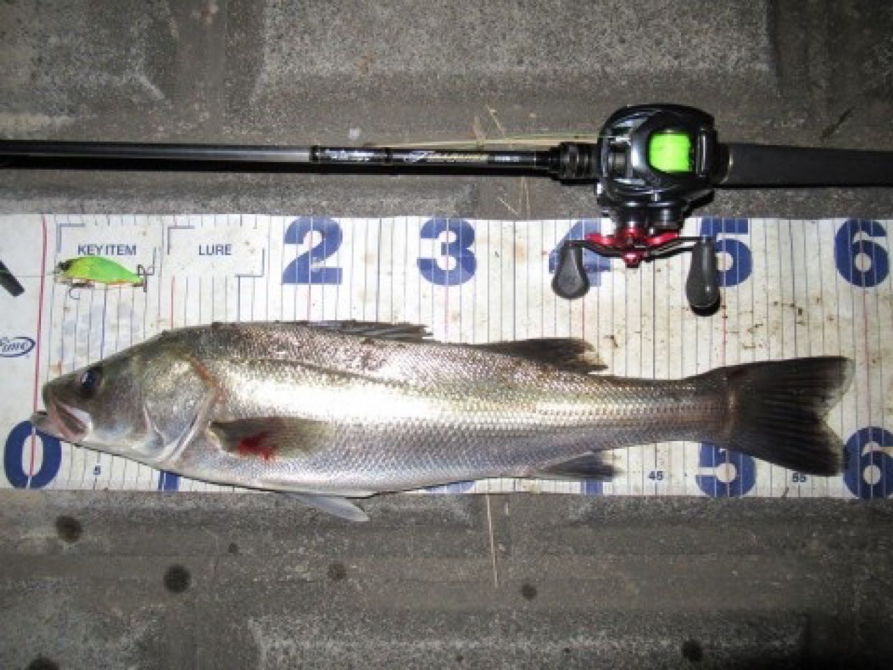 tailwalk フルレンジ CC C68M/CCの最安値・インプレ・釣果 | 本音の