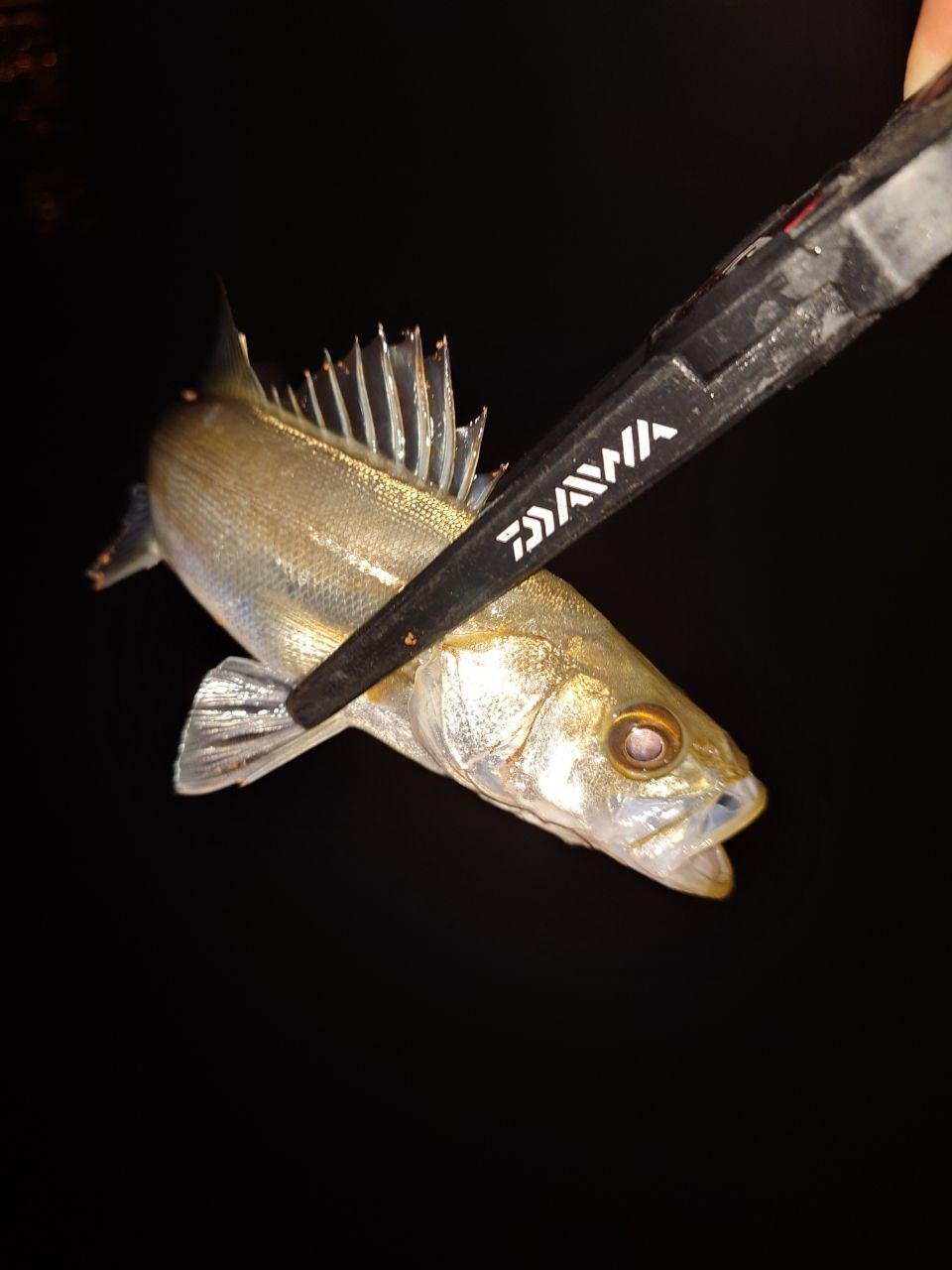 TENRYU ルナキア LK582S-LSの最安値・インプレ・釣果 | 本音の口コミが