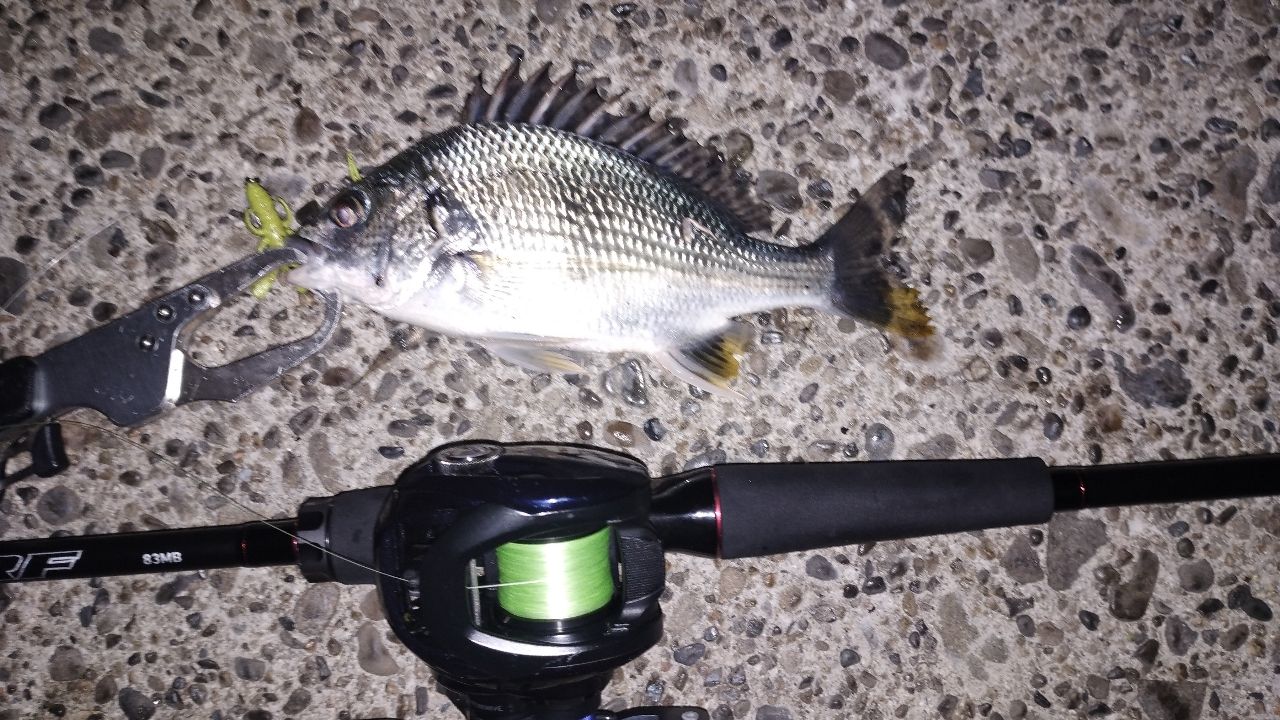 DAIWA 22HRF® (ハードロックフィッシュ) 83MB・Qの最安値