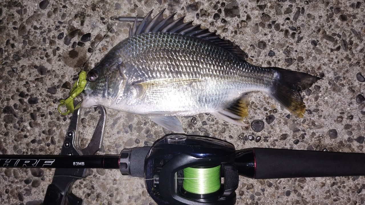 DAIWA 22HRF® (ハードロックフィッシュ) 83MB・Qの最安値