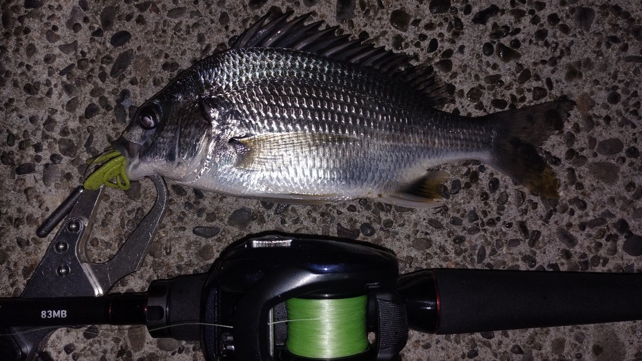 ダイワ　22HRF 83MB-Q ロックフィッシュ　ベイト ダイワ 22HRF 83MB-Q ロックフィッシュ ベイト ダイワ HRF 83MB・Q