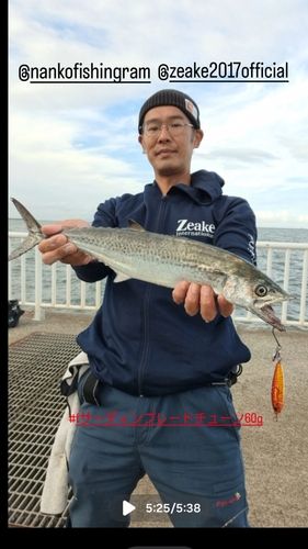 南港魚つり公園