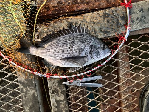 大黒海づり施設