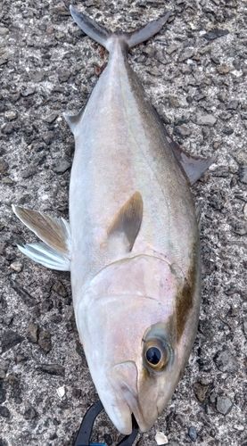 野見潮ばかり公園