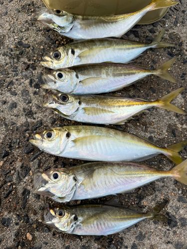 小名浜港市場前