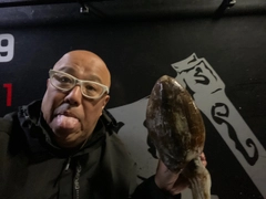 コウイカの釣果