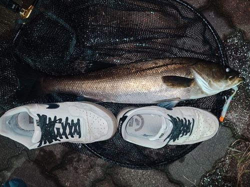 有明西ふ頭公園