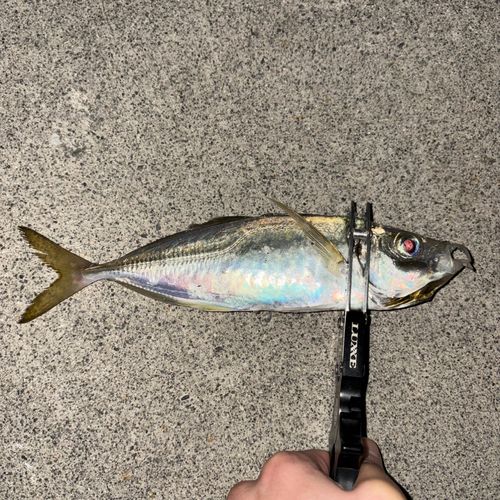 小名浜港アクアマリンふくしま周辺