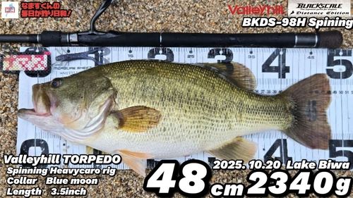 ブラックバスの釣果