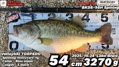 ブラックバスの釣果