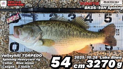 ブラックバスの釣果