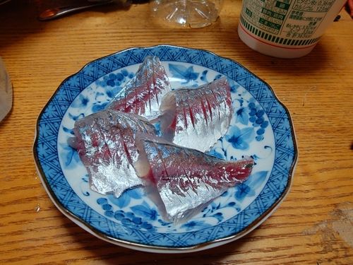 マアジの釣果