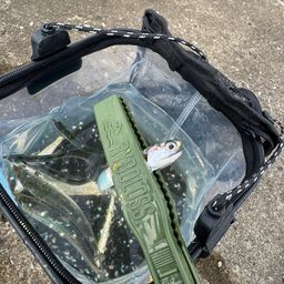 カタクチイワシ