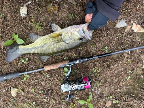 由良川（京都）