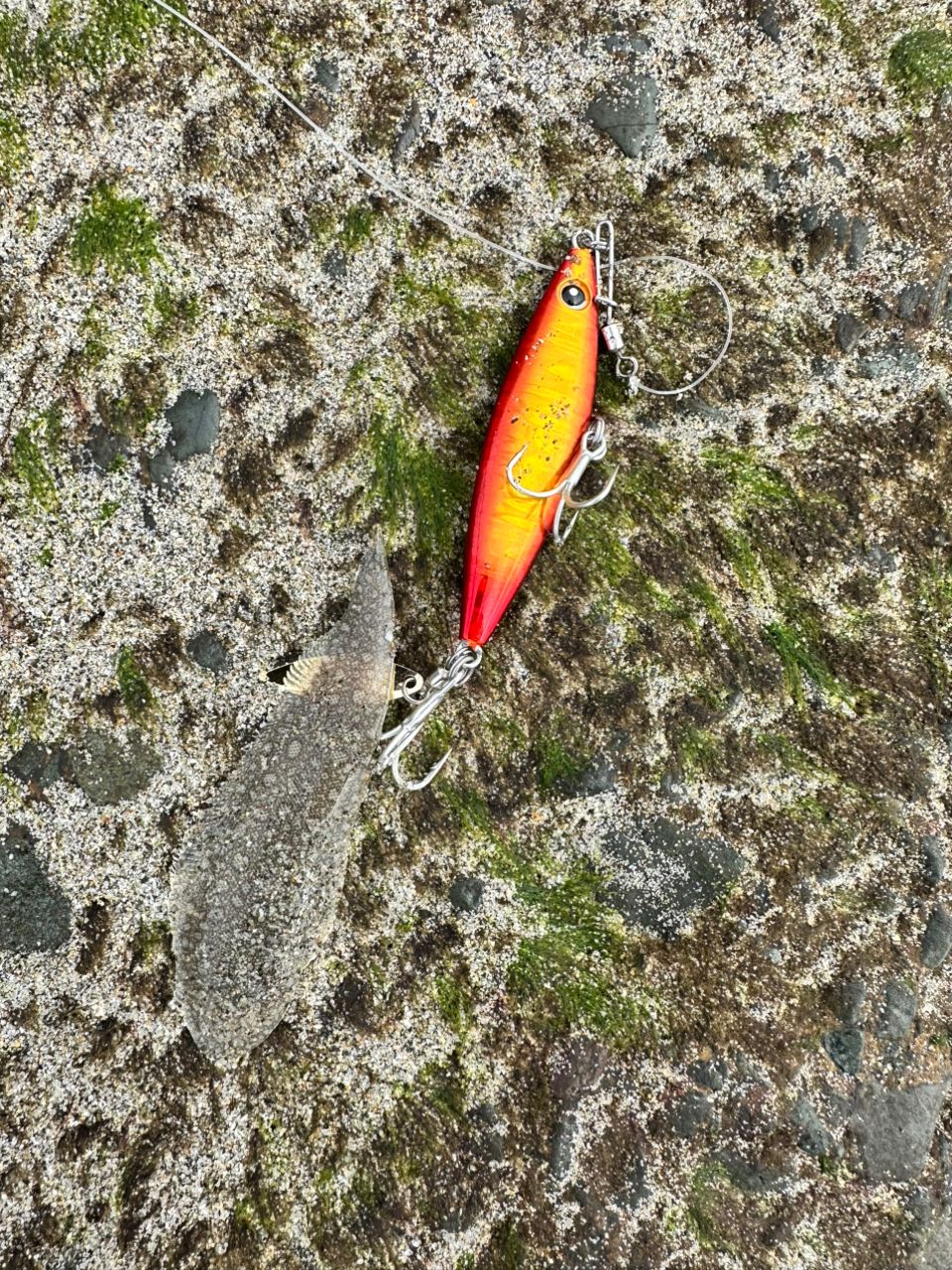 SHIMANO 20ネッサ エクスチューン S106MHの最安値・インプレ・釣果