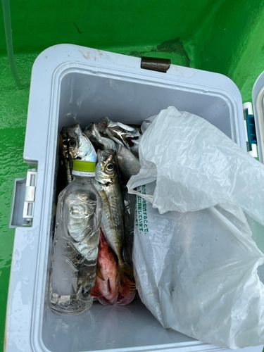 東京湾（アクアライン〜富津）