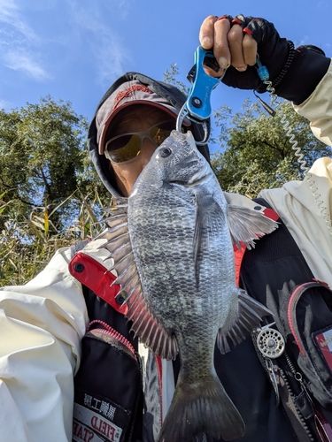 大野お台場公園前