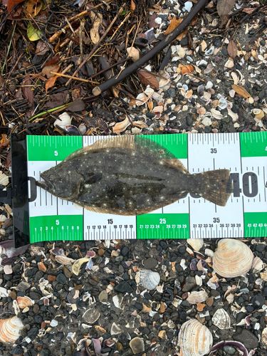 新舞子海岸（富津）