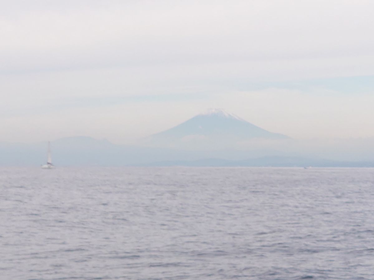 R・913さんの釣果 1枚目の画像