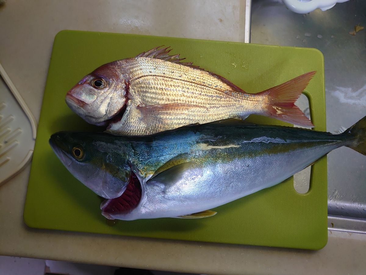 R・913さんの釣果 2枚目の画像