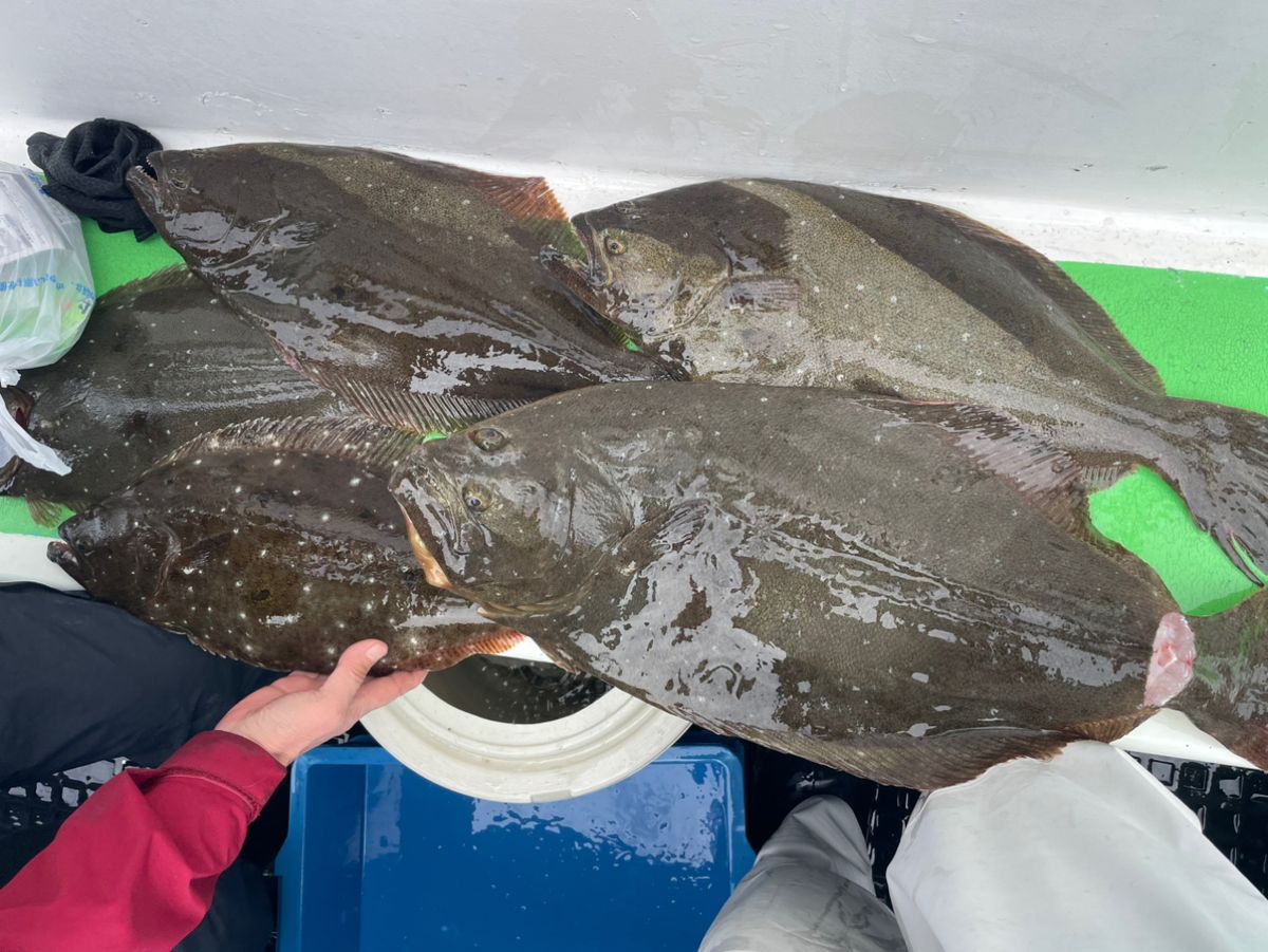 けんぢ46さんの釣果 1枚目の画像