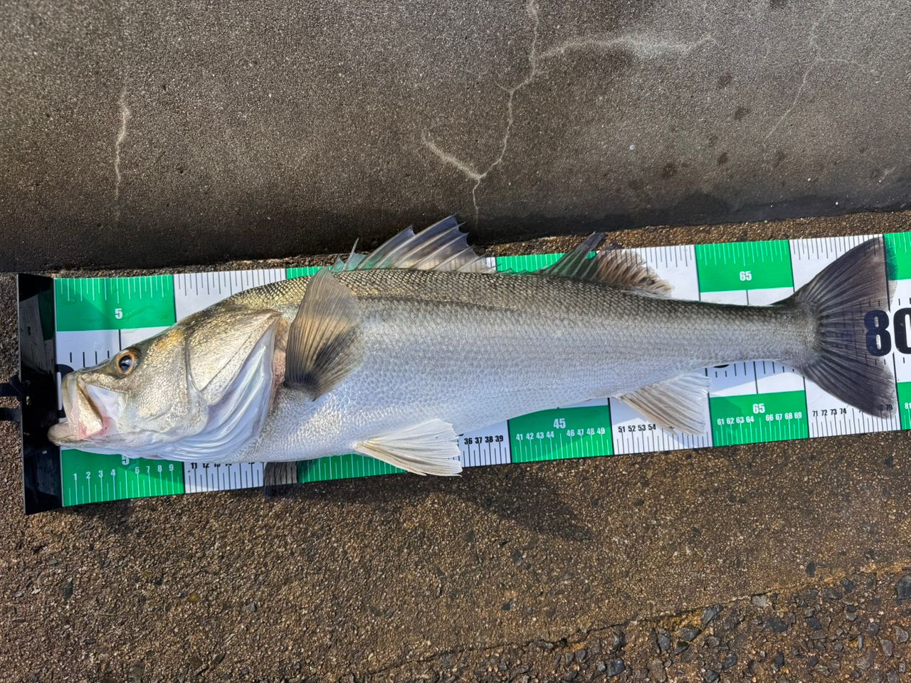 ☆極美品☆APIA Foojin'Z GENEROUS 94M/アピア フージン Foojin'Z GENEROUS 94M フージンゼータジェネラス | ロッド,シーバス