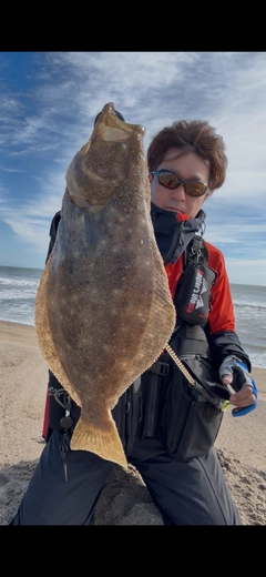 ヒラメの釣果