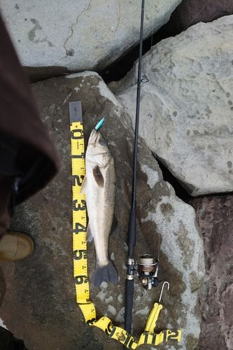 茅ヶ崎ヘッドランド