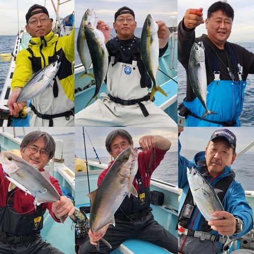 カンパチの釣果