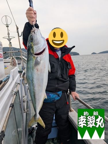 ブリの釣果
