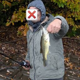 ラージマウスバス