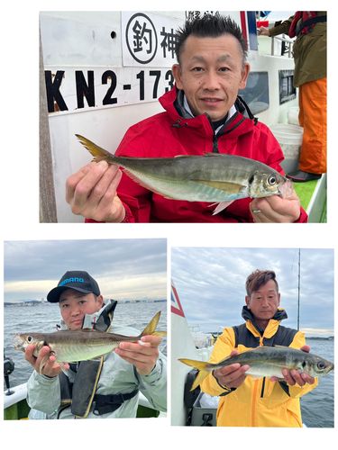 マアジの釣果