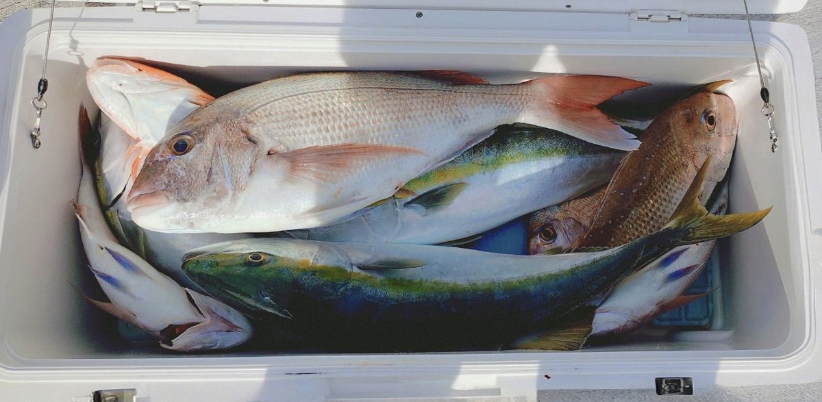 Makiブイさんの釣果 1枚目の画像