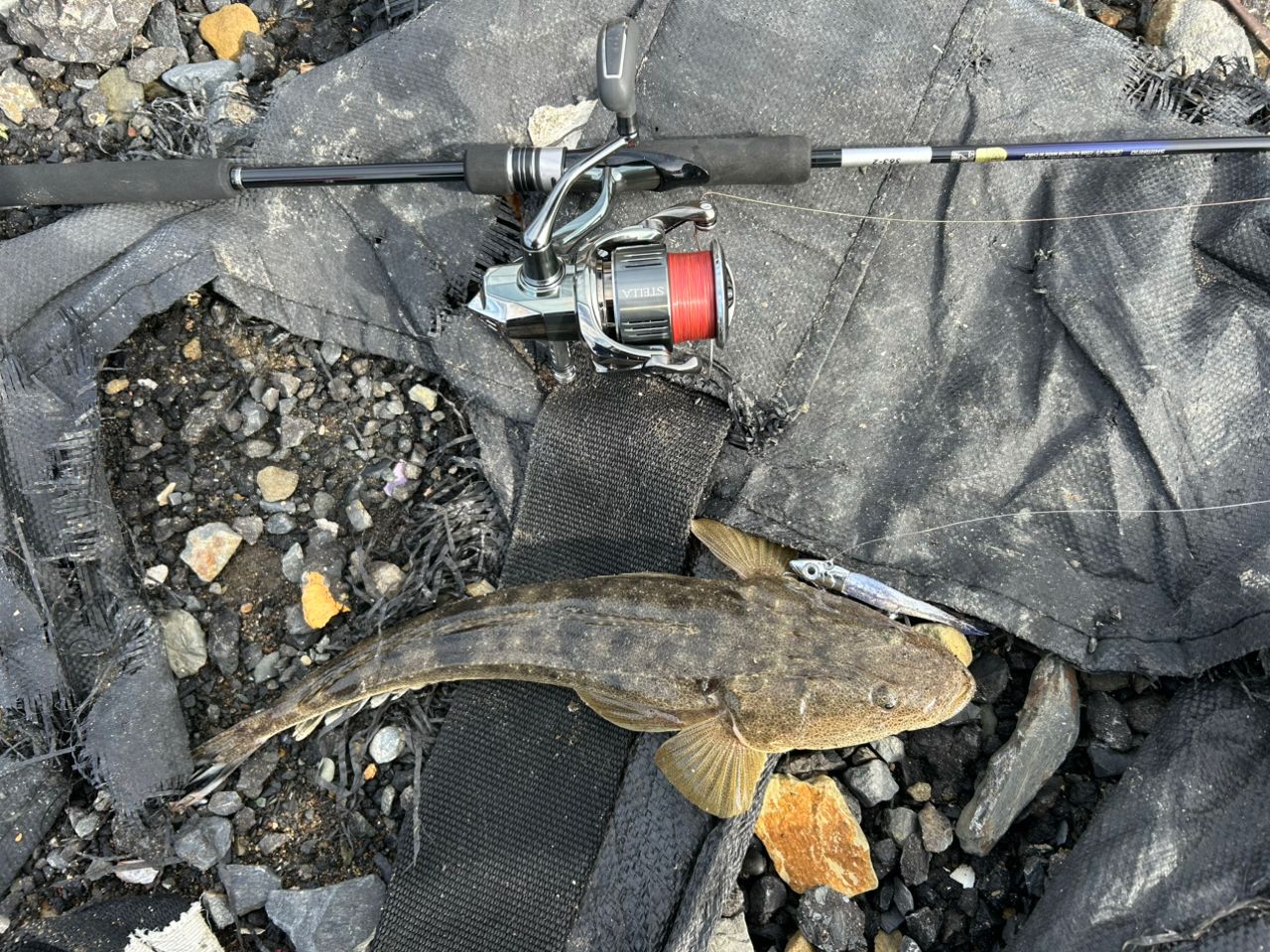 アカエラブチャー