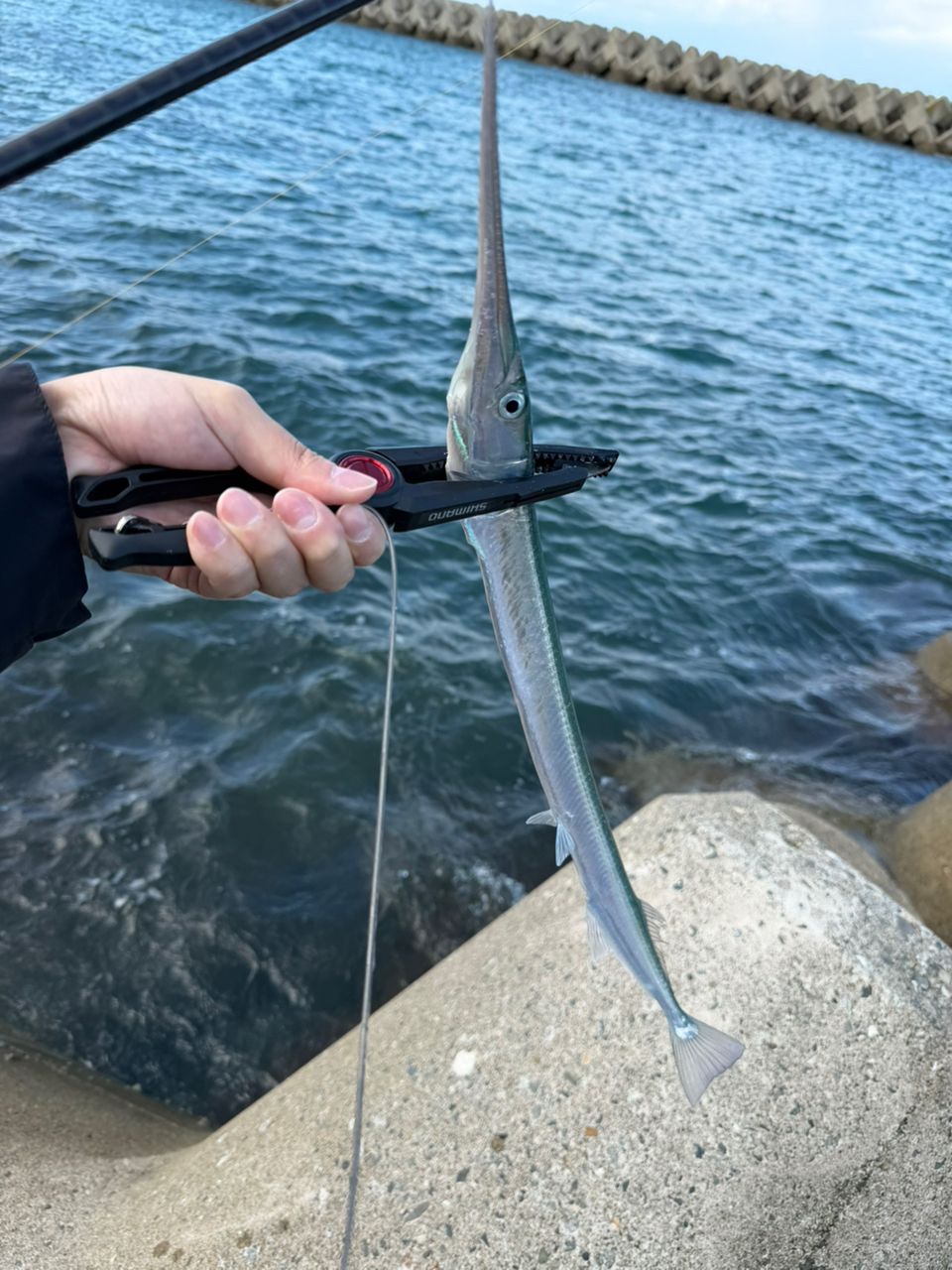 SHIMANO 22ソアレ SS S76L-Sの最安値・インプレ・釣果 | 本音の