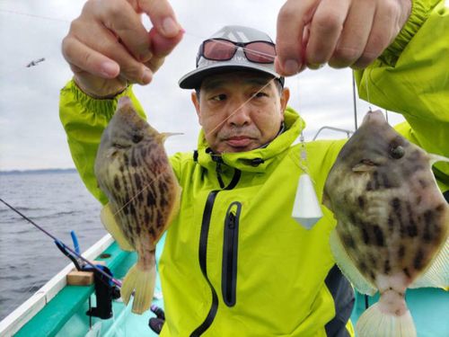 カワハギの釣果