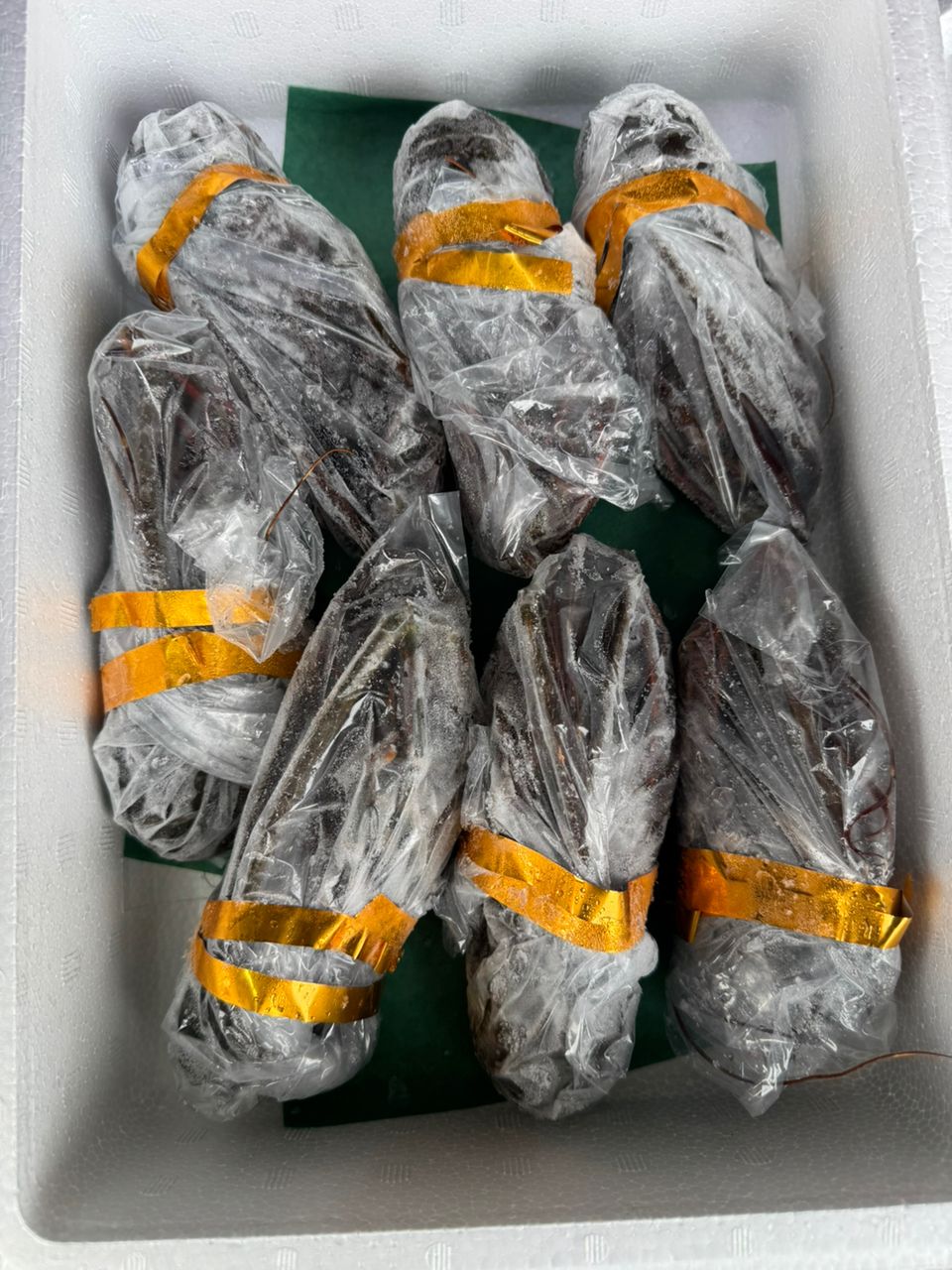 池田！さんの釣果 2枚目の画像