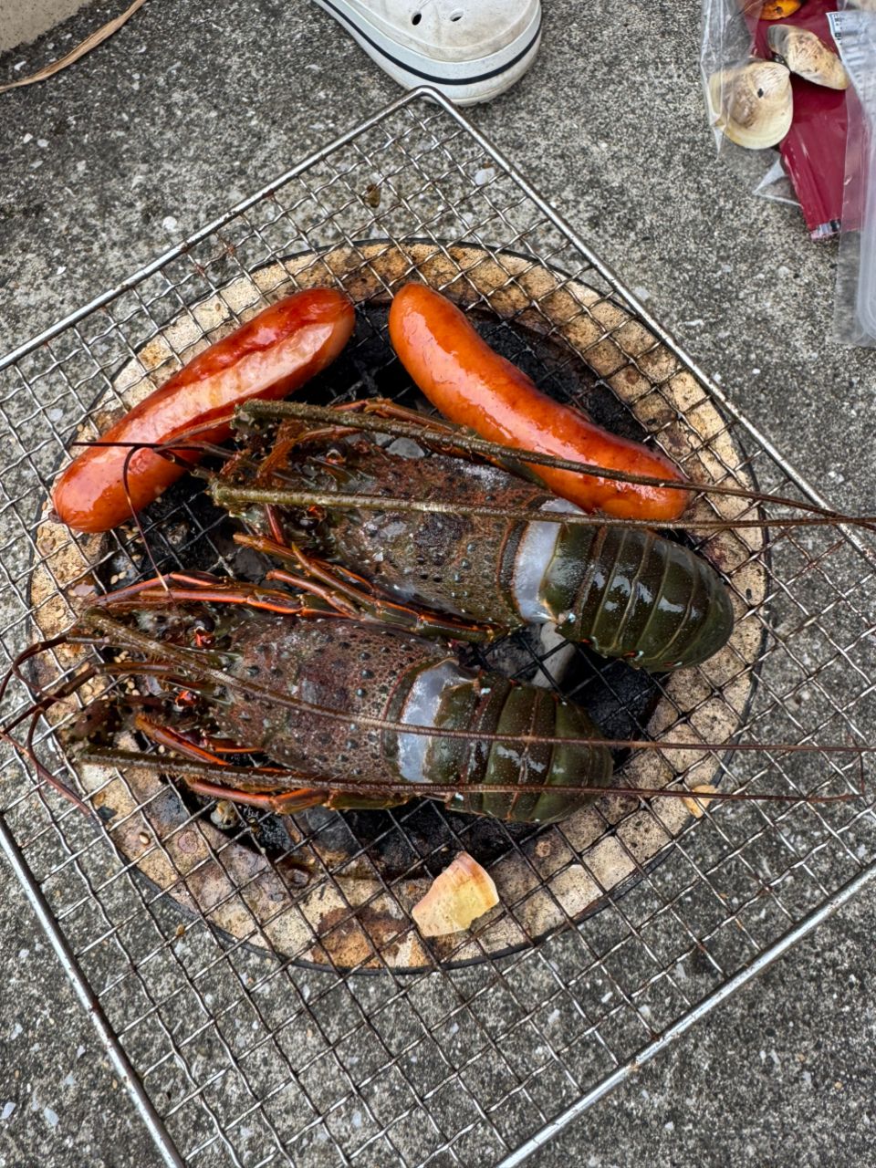 池田！さんの釣果 3枚目の画像