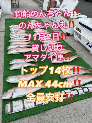 シロアマダイの釣果
