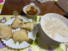 カワハギの釣果