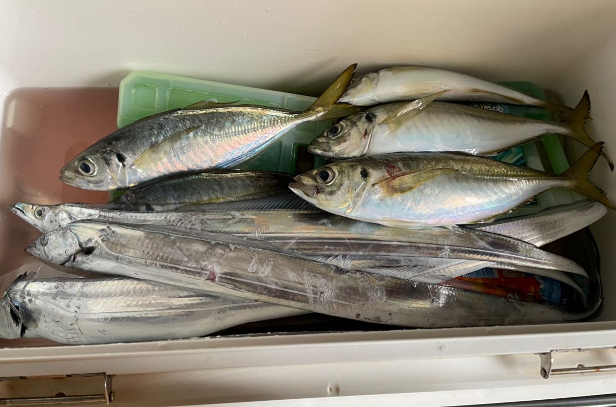 Karsさんの釣果 3枚目の画像