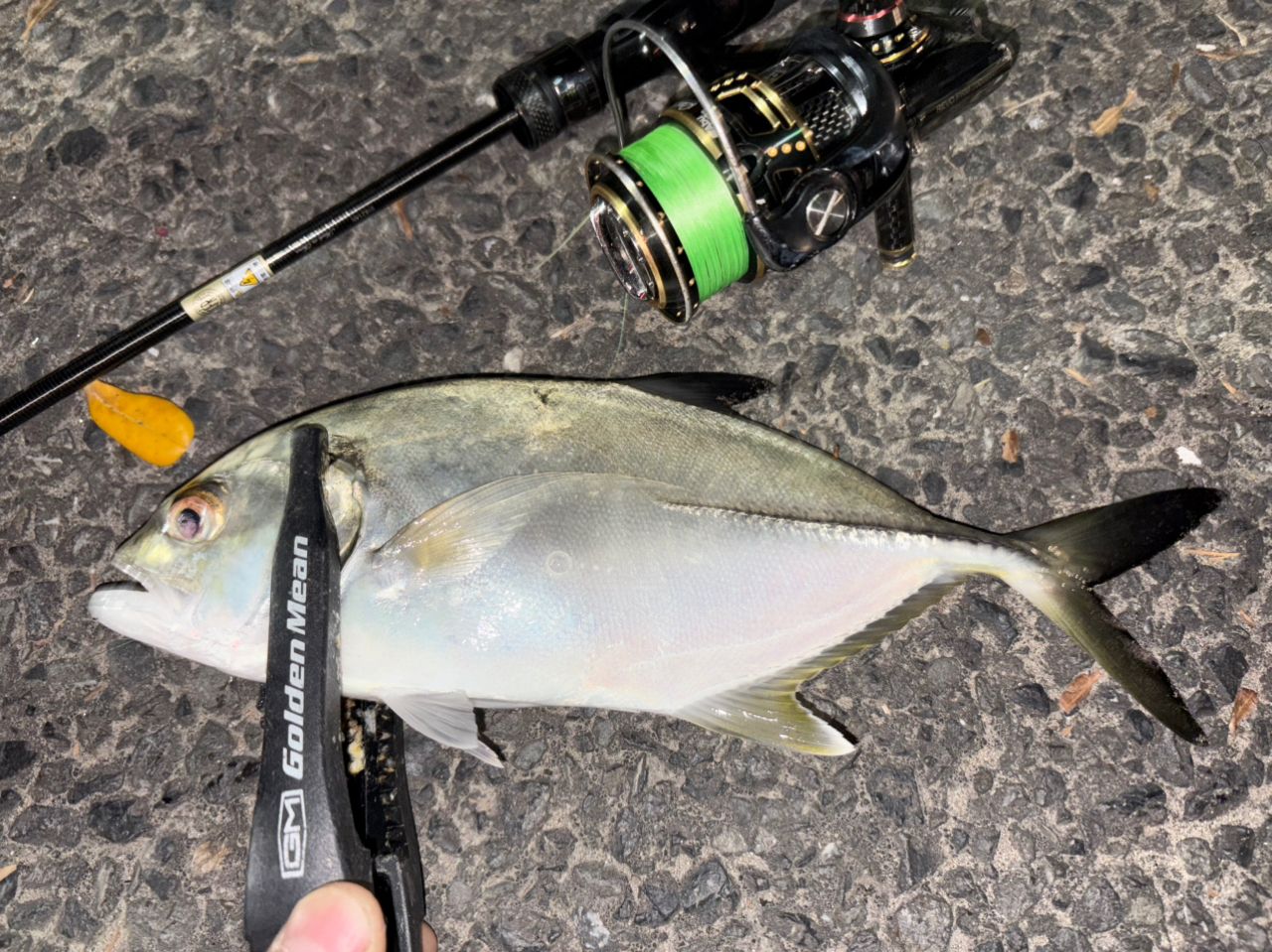 AbuGarcia ソルティーステージ プロトタイプ アジング XAJS-5102LSSの