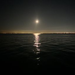 カタクチイワシ