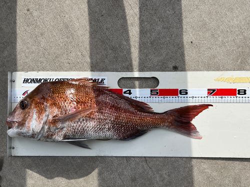 本牧海づり施設