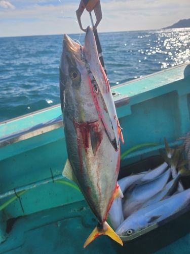 三陸海岸（岩手）